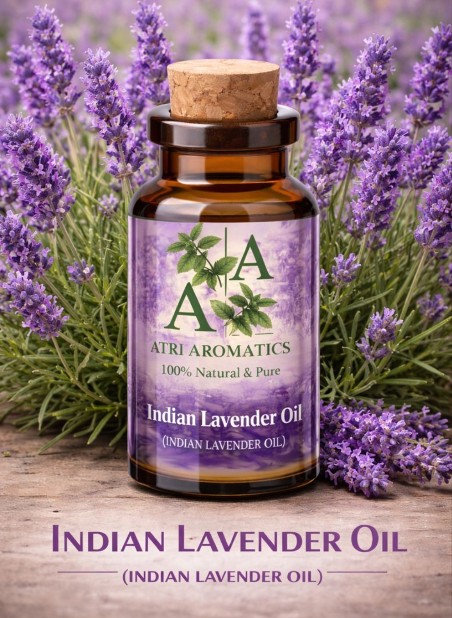 Indian Lavender Oil